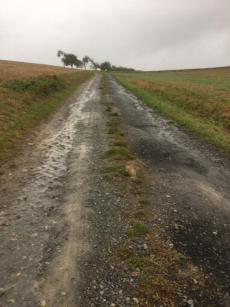 Der Hasengrabenweg in Weipoltshausen vor der Instandsetzung.&nbsp;