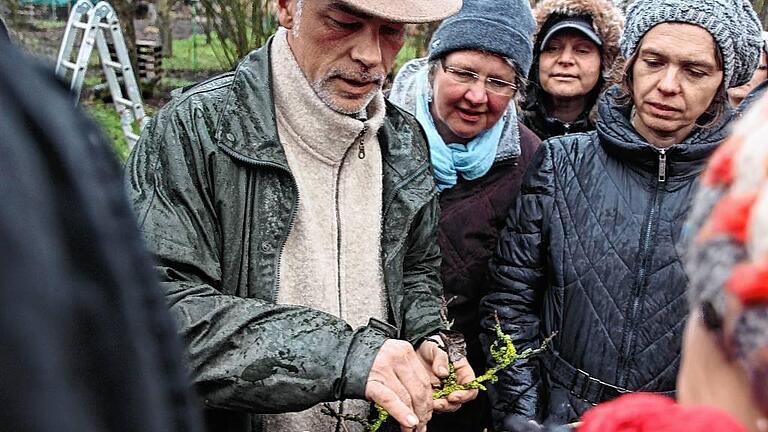 Marius Wittur erklärt, dass man Blatt- und Blütenknospen ebenso gut voneinander unterscheiden kann wie altes von jungem Holz.