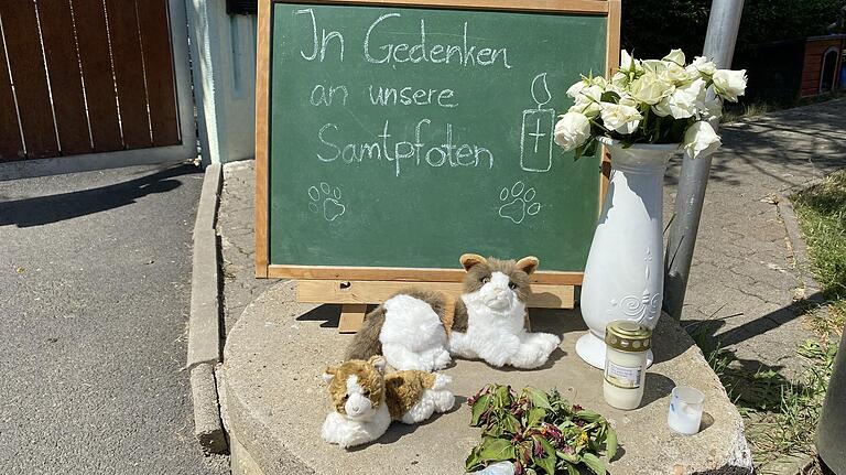 Vor dem Tierheim wird an die Katzen erinnert, die dem Feuer zum Opfer gefallen sind. Vor dem Tierheim wird an die Katzen erinnert, die dem Feuer zum Opfer gefallen sind.