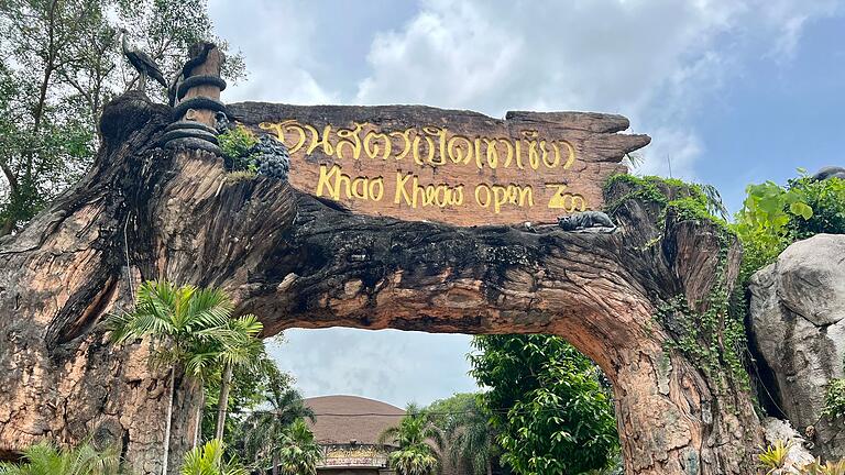 Zwergflusspferd Moo Deng in Thailand - Der Khao Kheow Open Zoo in der Provinz Chonburi beherbergt etwa 3.000 Tiere. Zwergflusspferd Moo Deng in Thailand - Der Khao Kheow Open Zoo in der Provinz Chonburi beherbergt etwa 3.000 Tiere.