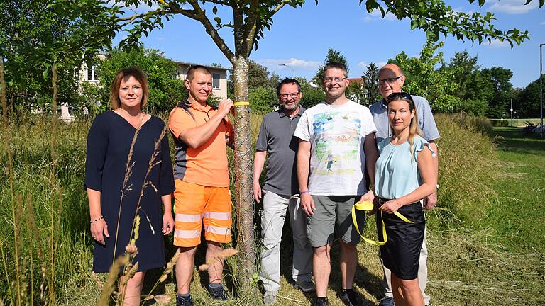 Eine Kooperation von evangelischer Kirchengemeinde und politischer Gemeinde Euerbach ist das Bürgerobst-Projekt. Unter anderem an der Straße zum Sportheim Euerbach werden gemeindliche Bäume mit einem gelben Band zum Ableeren für die Bevölkerung gekennzeichnet. Beim Ortstermin (von links) Bürgermeisterin Simone Seufert, Bauhofleiter Werner Halbig und vom kirchlichen Umweltteam Peter Fischer, Joachim Rees, Johannes Brändlein und Dorit Bollmann.