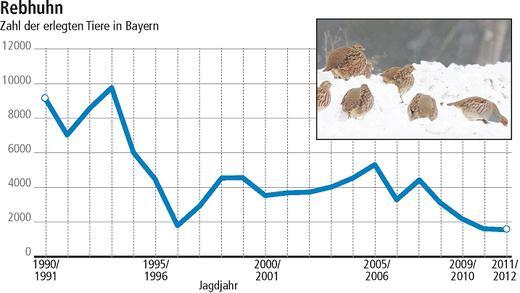 Die Jagd zwischen Lust und Frust