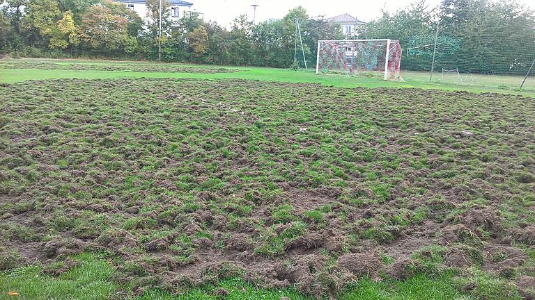 Das Spielfeld ist für mehrere Monate unbespielbar. Als Sofortmaßnahme soll der Platz nun einen Elektrozaun bekommen.