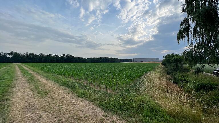 Auf diesem Gelände beim Gewerbegebiet Wiebelbach möchte Main-Spessart Solar auf 13,8 Hektar Freiflächen-Fotovoltaik errichten. Auf diesem Gelände beim Gewerbegebiet Wiebelbach möchte Main-Spessart Solar auf 13,8 Hektar Freiflächen-Fotovoltaik errichten.