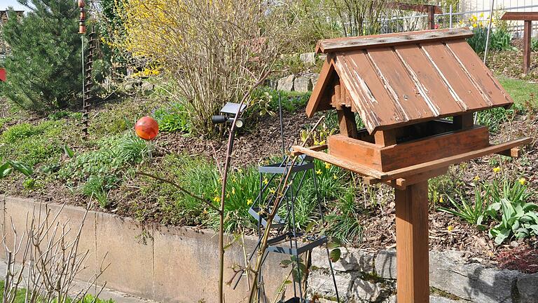 Der Garten ist ein Eldorado für Vögel, Insekten und Co. Der Garten ist ein Eldorado für Vögel, Insekten und Co. 