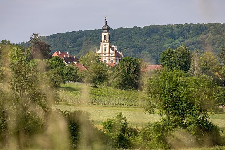 Wandern auf dem rund sechs Kilometer langen C5 in Castell (Lkr. Kitzingen).