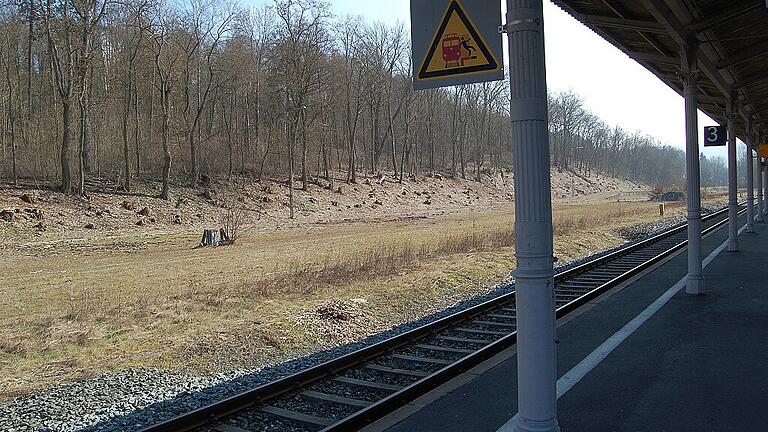 Auf dem Gelände des ehemaligen Güterbahnhofs ist reichlich Platz für neue Gebäude.