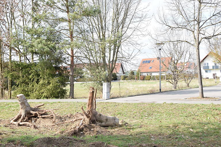 Besonders eklatant ist das Problem ungenutzter Bauplätze in Brendlorenzen, wo sogar Flächen, die für mehrere Wohnhäuser reichen würden, seit zwei Jahrzehnten brachliegen.