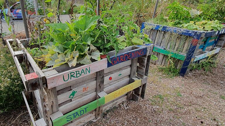 Urban Gardening am Hubland auf dem Gelände der ehemaligen LGS. Urban Gardening am Hubland auf dem Gelände der ehemaligen LGS.