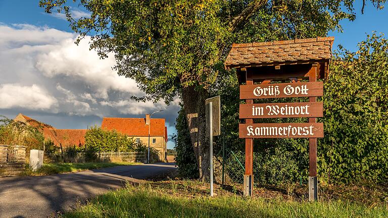 Schon im Mittelalter gab es um Oberschwarzach rund 13 Hektar Weinberge. Kammerforst gilt mit seinen knapp 40 Einwohnern als einer der kleinsten Weinorte Frankens und ist während der Tour schnell durchschritten. Schon im Mittelalter gab es um Oberschwarzach rund 13 Hektar Weinberge. Kammerforst gilt mit seinen knapp 40 Einwohnern als einer der kleinsten Weinorte Frankens und ist während der Tour schnell durchschritten.