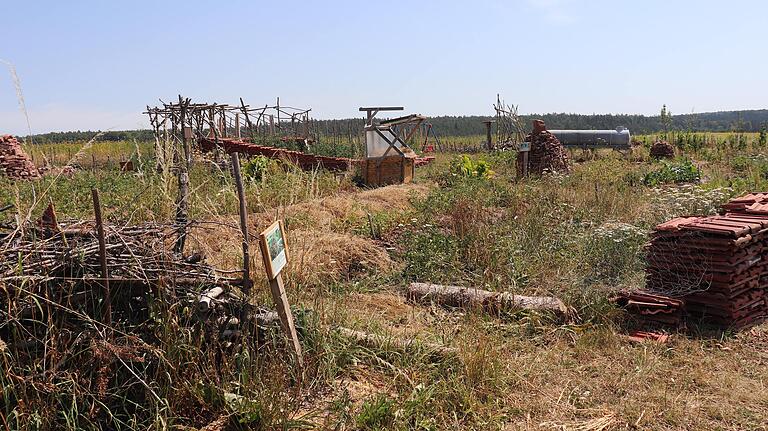 Die Gartenanlage der Waldgeister am Ortsrand von Waldberg, die nach den Prinzipien der Permakultur gepflegt wird.