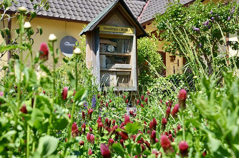 Der richtige Standort eines Insektenhotels, wie hier inmitten eines naturnahen Blühstreifens mit einem reichen Nektar- und Pollenaufkommen, ist besonders wichtig, damit sich Wildbienen und Hummeln wohlfühlen.