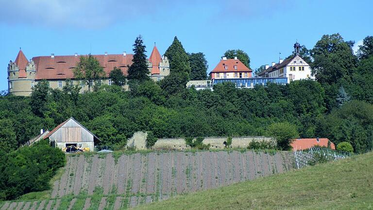 Hotel, Restaurant und Betriebsgebäude: In einem Bereich der alten Meierei (links) hatte der frühere Besitzer schon mit Bauarbeiten begonnen und viel Geld investiert. Jetzt soll die Meierei unterhalb von Schloss Frankenberg wieder komplett aufgebaut werden. Unser Bild stammt vom August vergangenen Jahres.