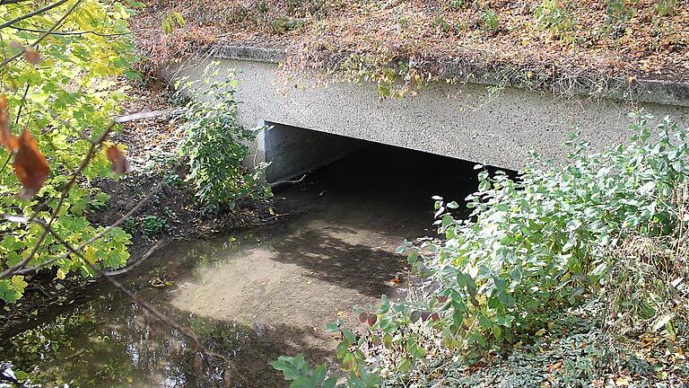 Der recht kleine Durchlass für die Volkach unter der B286 hindurch bei der Gerolzhöfer Kartbahn: Die Engstelle sorgt für Überschwemmungen östlich der Schnellstraße und wirkt gleichzeitig aber auch als Puffer für den weiteren Verlauf der Volkach im Stadtgebiet. Der recht kleine Durchlass für die Volkach unter der B286 hindurch bei der Gerolzhöfer Kartbahn: Die Engstelle sorgt für Überschwemmungen östlich der Schnellstraße und wirkt gleichzeitig aber auch als Puffer für den weiteren Verlauf der Volkach im Stadtgebiet.