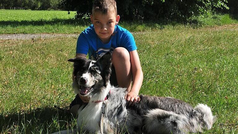 Erfolgreiches Duo: Der elf Jahre alte Gregor Schnös aus Knetzgau hat mit Oskar, einem einjährigen Australian Shepherd, die Begleithundeprüfung durchlaufen.FOTO: Ulrike Langer Erfolgreiches Duo: Der elf Jahre alte Gregor Schnös aus Knetzgau hat mit Oskar, einem einjährigen Australian Shepherd, die Begleithundeprüfung durchlaufen.FOTO: Ulrike Langer