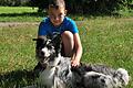 Erfolgreiches Duo: Der elf Jahre alte Gregor Schnös aus Knetzgau hat mit Oskar, einem einjährigen Australian Shepherd, die Begleithundeprüfung durchlaufen.FOTO: Ulrike Langer
