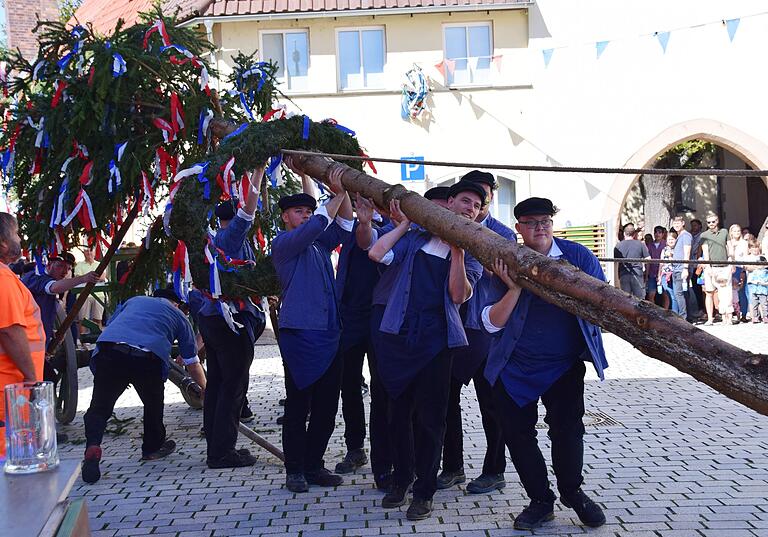 Zum Auftakt des Friedens- und Kirchweihfests in Gochsheim stellten die zwölf Planburschen am Samstag den Planbaum auf, unter dem Applaus der zahlreichen Zuschauer. Zum Auftakt des Friedens- und Kirchweihfests in Gochsheim stellten die zwölf Planburschen am Samstag den Planbaum auf, unter dem Applaus der zahlreichen Zuschauer.
