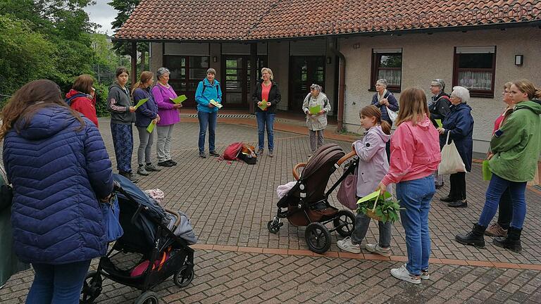 Spiritueller Impuls an der Linde.