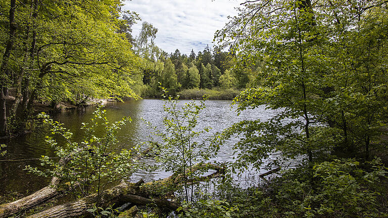 Der Wiesbüttsee bei Flörsbachtal direkt an der hessisch-bayerischen Landesgrenze liegt auf dem Spessartweg 3.