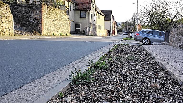 Pflanzkonzept beschlossen: Noch blüht in den Beeten neben der Billingshäuser Straße wenig. Noch in diesem Frühjahr sollen dort Säuleneichen und Apfelbeeren gepflanzt werden, im Herbst folgt die bunte Staudenmischung &bdquo;Farbenspiel&ldquo;.