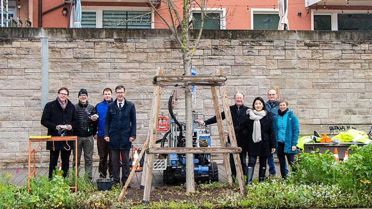 Ein erster von 16 Stadtbäumen wurde am Oberen Mainkai mit Sensoren vernetzt, die Aufschluss unter anderem über die Feuchtigkeit im Erdreich bringen können. Von links: Martin Heilig, Tilman Hampl, Christian Hartmann, Christian Schuchardt, Joachim Spatz, Sua Hwang, Martin Schrauth und Heidrun Groeger.