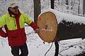 Holz aus dem Steigerwald: Daniel Steuer, stellvertretender Leiter des Forstbetriebs Ebrach, zeigt, was einen guten Buchenstamm ausmacht.