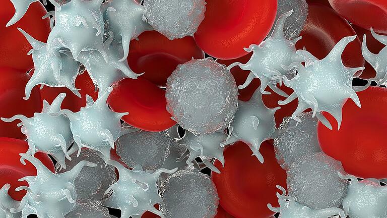 red blood cells,activated platelet and white blood cells - Die Zellen unseres Blutes: Rote Blutkörperchen, weiße Blutkörperchen - und die Blutplättchen. red blood cells,activated platelet and white blood cells - Die Zellen unseres Blutes: Rote Blutkörperchen, weiße Blutkörperchen - und die Blutplättchen.