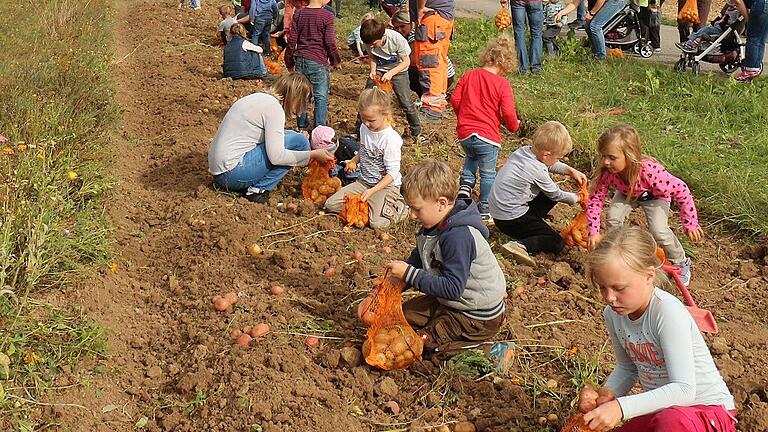 Selber ernten: Das macht Spaß und weckt Interesse an den Themen Landwirtschaft und Ernährung.