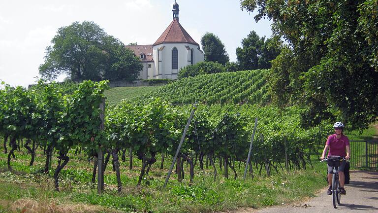 Wein, Kirchen, Radeln: Wie hier bei Volkach lassen sich mehrere touristische Höhepunkte verbinden. Wein, Kirchen, Radeln: Wie hier bei Volkach lassen sich mehrere touristische Höhepunkte verbinden.