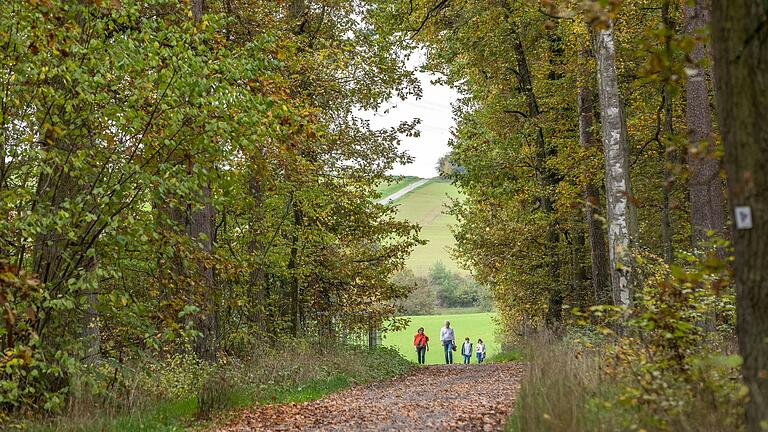 Kaum etwas eignet sich so gut zum Abschalten und Auftanken wie ein Spaziergang im Wald.