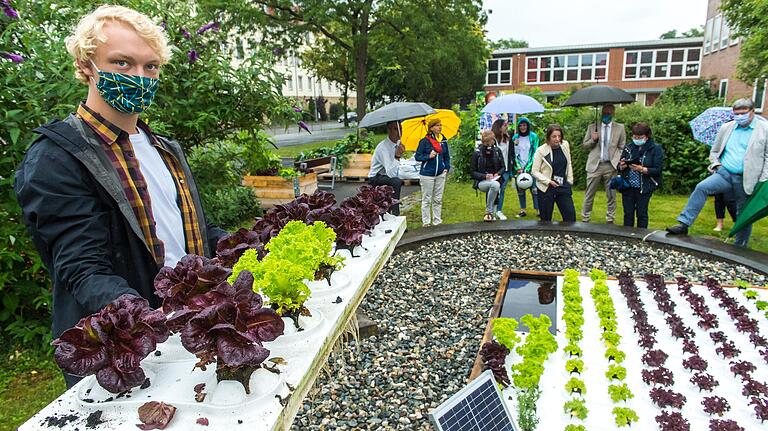 Salat der schwimmen kann: FH-Student Paul Bützow, der den Schaugarten pflegt, mit dem Salat im Wasserbeet im ehemaligen Schulbrunnen. Salat der schwimmen kann: FH-Student Paul Bützow, der den Schaugarten pflegt, mit dem Salat im Wasserbeet im ehemaligen Schulbrunnen.