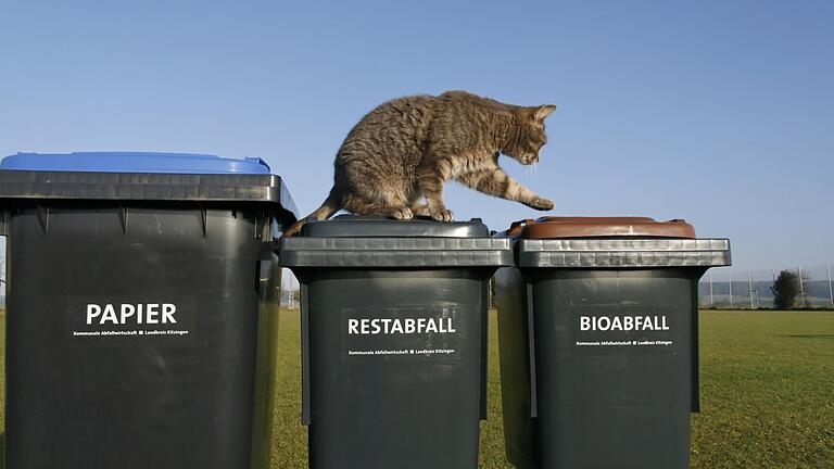 Die Kosten für die Müllentsorgung in Main-Spessart steigen in diesem Jahr nicht (Symbolbild).