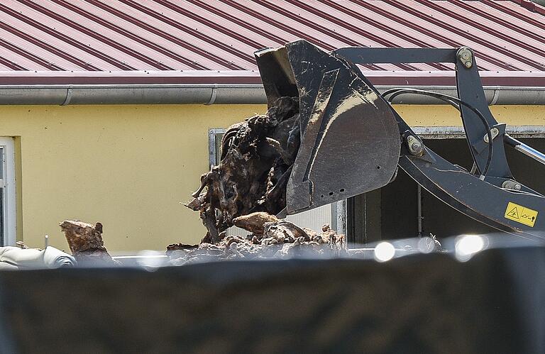 Schweineskandal in Osthausen bei Gelchsheim:  Die toten Mastschweine werden aus dem Stall geräumt und mit LKWs abtransportiert.