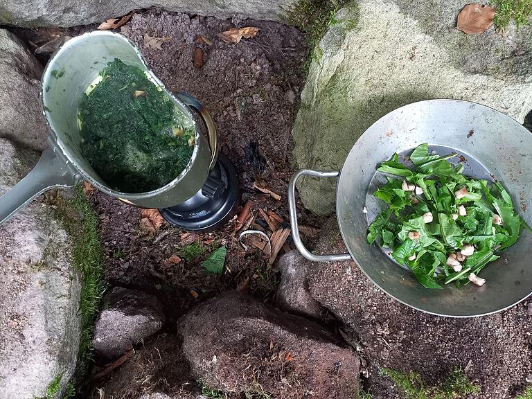 Ein grünes Mahl: Links der Brennsesselspinat, rechts der Wegerich-Salat. Ein grünes Mahl: Links der Brennsesselspinat, rechts der Wegerich-Salat.