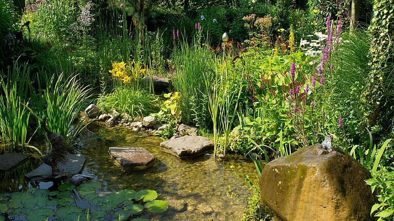 Vielfalt im Gartenteich ist wichtig, um ein gesundes Ökosystem zu erreichen.