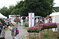Von geöffneten Privatgärten über einen Gartenmarkt und eine Ausstellung bis hin zur kleinen Topfgartenschau und Musik reichten die Attraktionen bei den Himmelstadter Gartenkulturtagen.