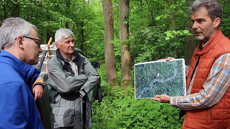 Stephan Thierfelder (rechts), Forstdirektor am Amt für Ernährung, Landwirtschaft und Forsten in Schweinfurt, erläutert die von den Raupen von Eichenschädlingen wie etwa dem Schwammspinner oder Eichenprozessionsspinner ausgehende Gefahren. Aufmerksame Zuhörer sind Frankenwinheims Bürgermeister Herbert Fröhlich (links) und Revierförster Gerald Eser. Stephan Thierfelder (rechts), Forstdirektor am Amt für Ernährung, Landwirtschaft und Forsten in Schweinfurt, erläutert die von den Raupen von Eichenschädlingen wie etwa dem Schwammspinner oder Eichenprozessionsspinner ausgehende Gefahren. Aufmerksame Zuhörer sind Frankenwinheims Bürgermeister Herbert Fröhlich (links) und Revierförster Gerald Eser.