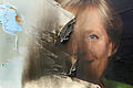 Beschädigte Wahlplakate.jpeg       -  Die frühere CDU-Chefin und Kanzlerin Angela  Merkel hatte 2015/2016 eine recht offene Flüchtlingspolitik vertreten. Die CDU von heute will davon nichts mehr wissen.