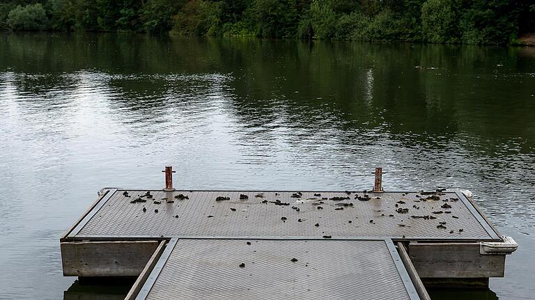 Der Gänse-Kot ist ein dauerhaftes Ärgernis und das seit Jahren, wie das Bild aus dem Jahr 2016 beweist.