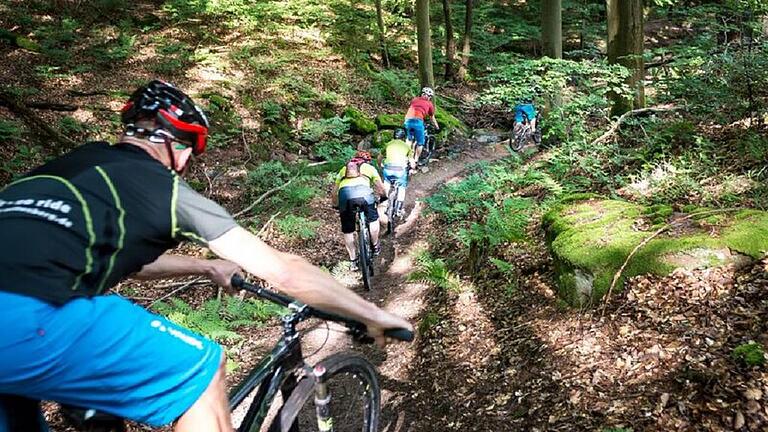 Ab durch den Wald: Auf dem Mil 1.Klaus Flechsenhar