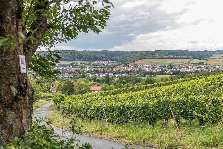 Am Ende der Tour bietet sich noch einmal ein wunderschöner Blick über die Weinberge auf Himmelstadt.&nbsp;