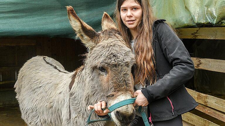 Sophie Popp füttert die Tiere nicht nur, sondern beschäftigt sie auch. Hier legt sie der Eselin Mira das Halfter an, an dem sie das Tier beim Ausflug führt. Thomas Obermeier
