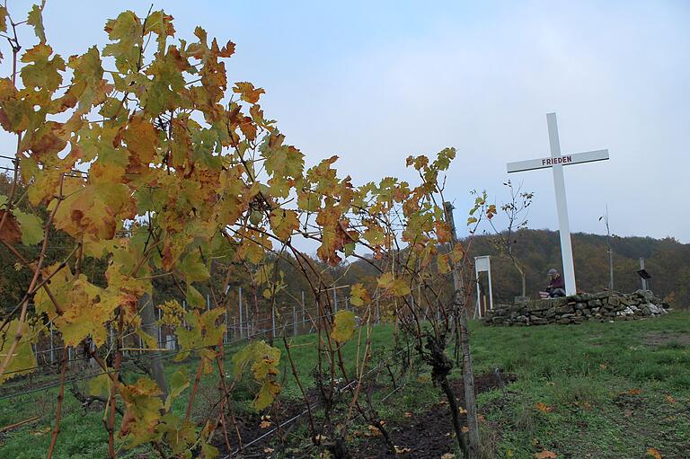 Vom Bio-Weinberg 'Kirchschönbacher Marienberg' mit seinem 1965 errichteten Friedenskreuz aus hat man einen schönen Blick über den Steigerwald. Vom Bio-Weinberg 'Kirchschönbacher Marienberg' mit seinem 1965 errichteten Friedenskreuz aus hat man einen schönen Blick über den Steigerwald.