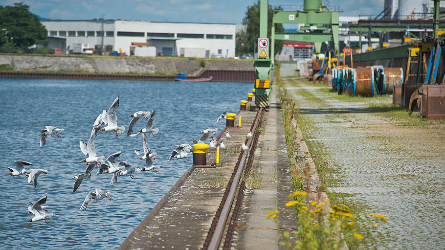 Foto-Location: Bamberger Hafen       -  Die Anlegestelle im Hafen von Bamberg bietet eine wunderbare Foto-Location für einen maritimen Touch.