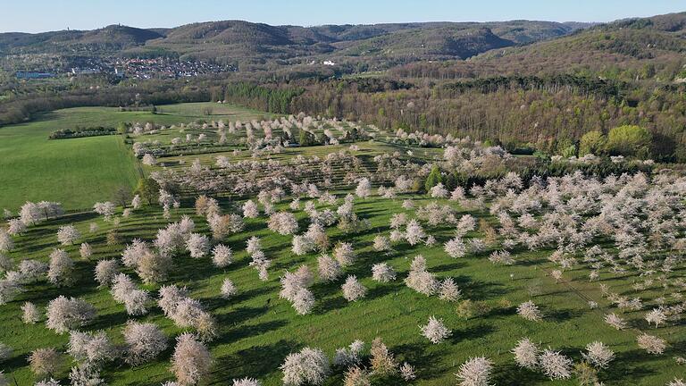 Obstbäume blühen im Harz - Wetter       -  Sonne und Wolken wechseln sich am Ostermontag in Deutschland ab, sagt der Deutsche Wetterdienst.