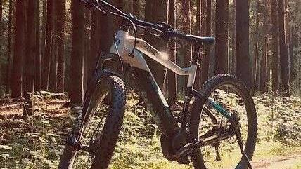 Das in Oberwittbach gestohlene E-Bike. Die Polizei sucht nach Hinweisen. Das in Oberwittbach gestohlene E-Bike. Die Polizei sucht nach Hinweisen.