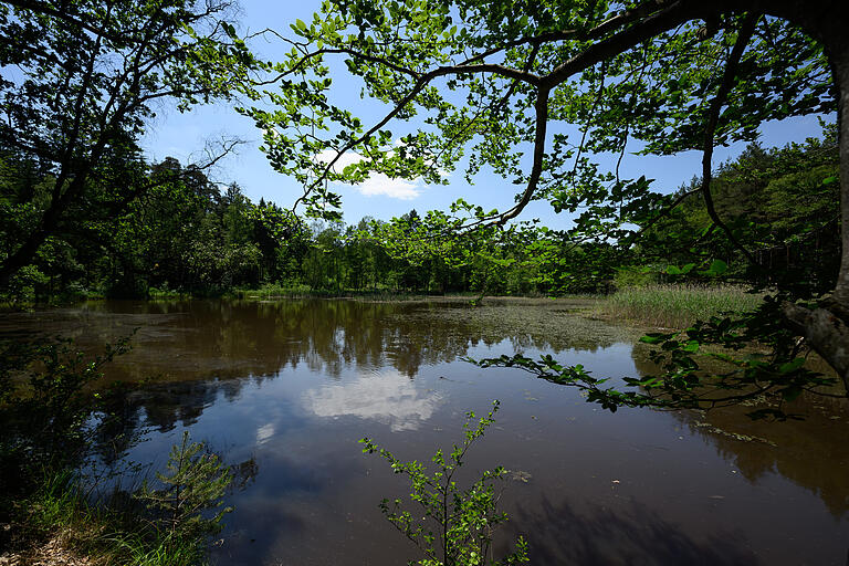 Auf fast 500 Metern über Null eröffnet sich der Blick auf den märchenhaften Baunachsee. Was für ein Idyll, mitten im Wald zwischen Birken. Zahlreiche Fische bevölkern das Biotop, am Ufer baut ein Biber. Auf fast 500 Metern über Null eröffnet sich der Blick auf den märchenhaften Baunachsee. Was für ein Idyll, mitten im Wald zwischen Birken. Zahlreiche Fische bevölkern das Biotop, am Ufer baut ein Biber.
