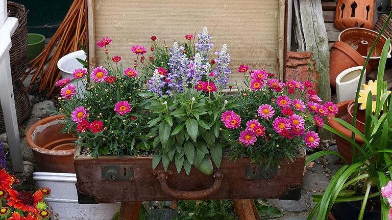 Koffer lassen sich nicht nur zum Reisen nutzen, sondern auch kreativ einsetzen. Zum Beispiel für Blumen wie hier oder – wie am 16. März in Schweinfurt – quasi als Verkaufsstand beim Koffer-Kreativ-Markt. Koffer lassen sich nicht nur zum Reisen nutzen, sondern auch kreativ einsetzen. Zum Beispiel für Blumen wie hier oder – wie am 16. März in Schweinfurt – quasi als Verkaufsstand beim Koffer-Kreativ-Markt.