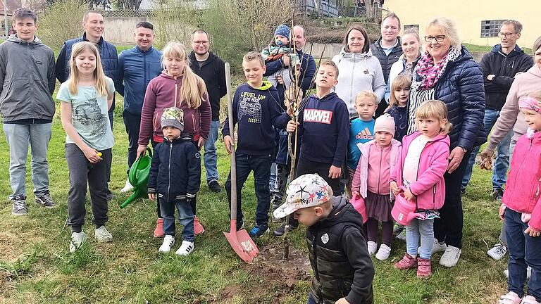 Pflanzung vom Baum des Jahres. Pflanzung vom Baum des Jahres.
