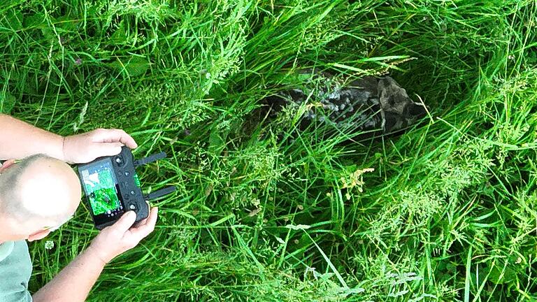 Fabian Prüller befindet sich ganz in der Nähe des Rehkitzes. Mit der über ihm fliegenden Drohne hielt er das im Bild fest. Fabian Prüller befindet sich ganz in der Nähe des Rehkitzes. Mit der über ihm fliegenden Drohne hielt er das im Bild fest.